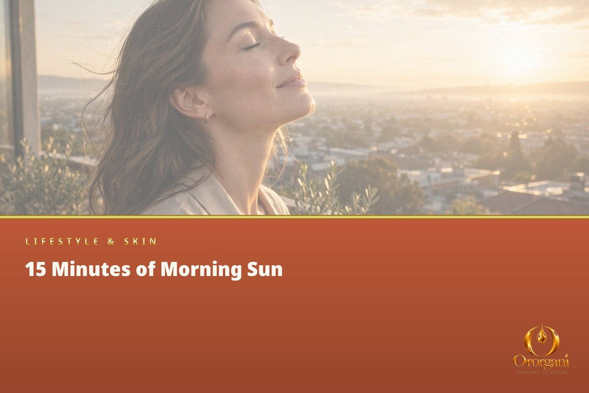 Morning Light: The Simple Habit That Helps Set Our Biological Clock